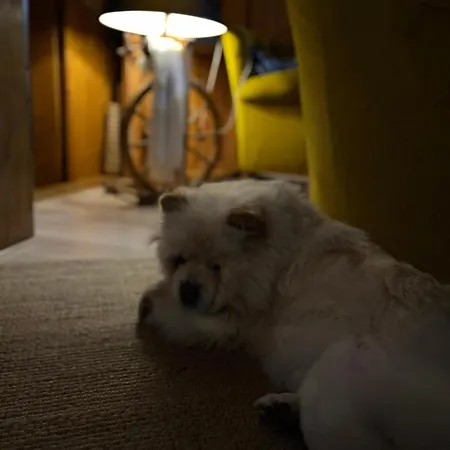 Marina לינה וארוחת בוקר זקופאנה