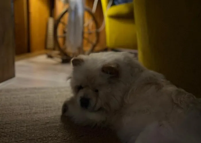 Marina فندق مبيت وإفطار زاكوباني